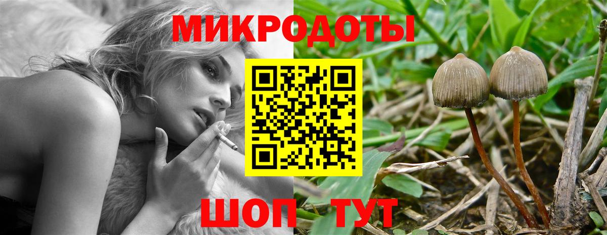 Галлюциногенные грибы мухоморы  Вход с VPN  Верхний Уфалей 