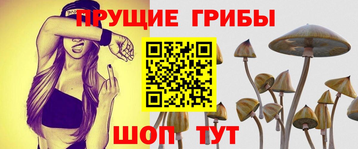 Галлюциногенные грибы Magic Shrooms Верхний Уфалей